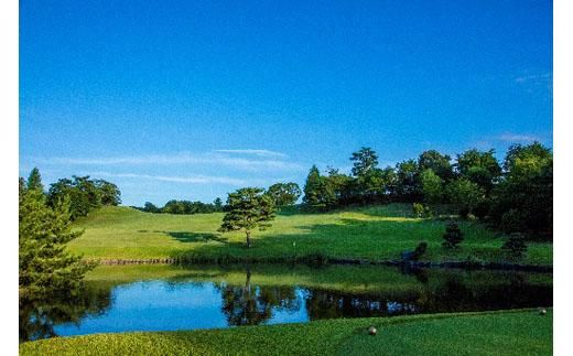 yOdɉszyyjzɉStR[X St1Ehv[iHtj 242161_AE001