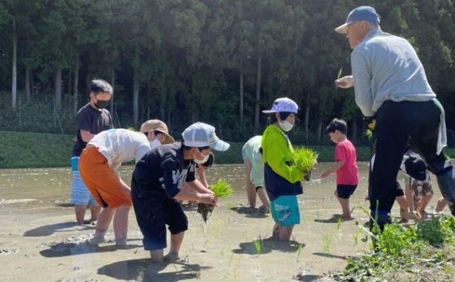 伊賀の里 島ヶ原からの贈り物 「純米大吟醸しまがはら元頭」と「はさめずこいいろ」 242161_AK002