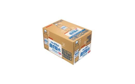 炭酸水 サンガリア 伊賀の天然水 強炭酸水2ケース（500ml×48本） 242161_AQ004