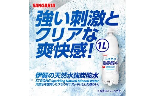 サンガリア伊賀の天然水 強炭酸水（1リットル×2ケース） 242161_AQ006