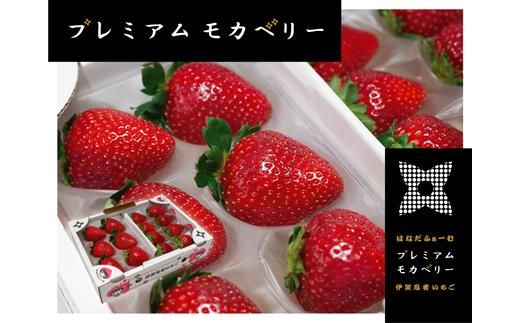 伊賀忍者いちご プレミアムモカベリー 2パックセット(約270g×2) 242161