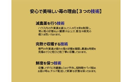 伊賀忍者いちご プレミアムモカベリー 2パックセット（約270g×2） 242161_AX001