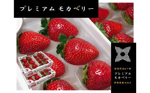 伊賀忍者いちご プレミアムモカベリー 4パックセット(約270g×4) 242161