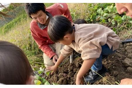 農園はなうた お野菜収穫体験券 5名様まで 242161_AY001