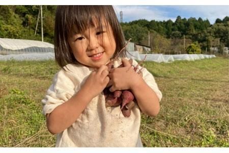 農園はなうた お野菜収穫体験券 5名様まで 242161_AY001