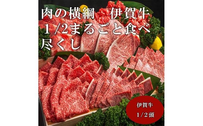 肉の横綱　伊賀牛１/2まるごと食べ尽くし 242161_AZ054