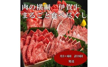 【月3×6回　計18回発送】肉の横綱　伊賀牛まるごと食べ尽くし 242161_AZ062