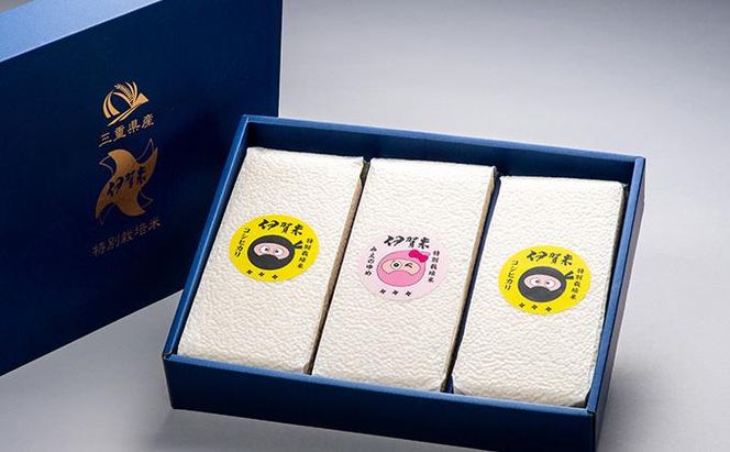 yOdɉszʍ͔| ɉĐHׂא^pbN Zbg 6i900gj×3 242161_BD004