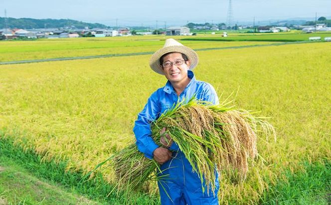 特別栽培米 伊賀米食べくらべ真空パック セット 6合（900g）×3 242161_BD004