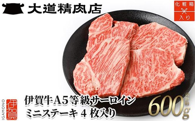 yOdɉszyϔ ɉꋍz A5T[C ~jXe[L v600gi4j 242161_BE014