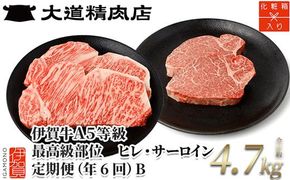 【年6回】伊賀牛 A5ヒレ・サーロイン 定期便B 総合計約4.7kg 242161_BE024