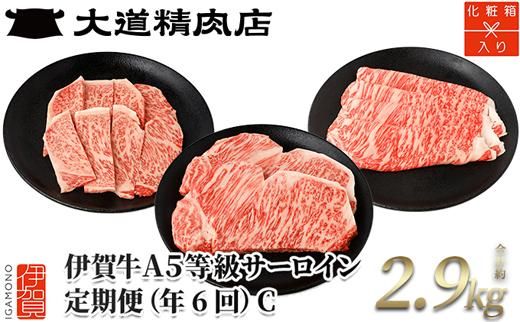 [年6回]伊賀牛 A5サーロイン 定期便コースC 総合計約2.9kg dido-tkb0011
