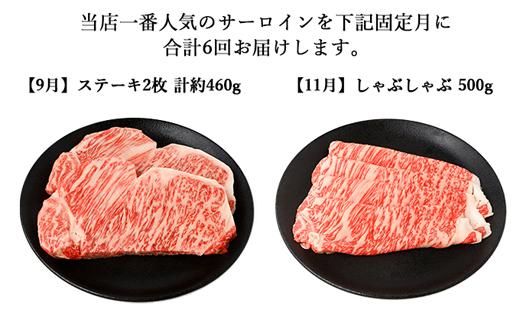 【年6回】伊賀牛 A5サーロイン 定期便コースC 総合計約2.9kg 242161_BE028