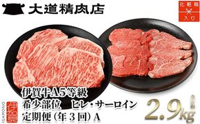 【年3回】伊賀牛 A5ヒレ・サーロイン 定期便A 総合計約2.9kg 242161_BE029