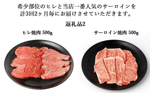 【年3回】伊賀牛 A5ヒレ・サーロイン 定期便A 総合計約2.9kg 242161_BE029