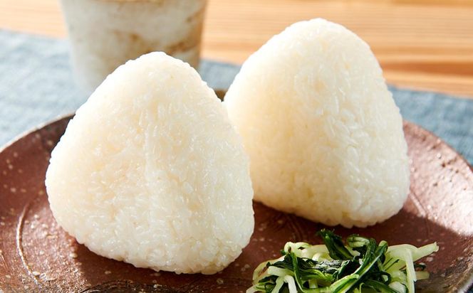 令和7年産 伊賀米コシヒカリ 10kg（3ヶ月連続） 242161_CE004