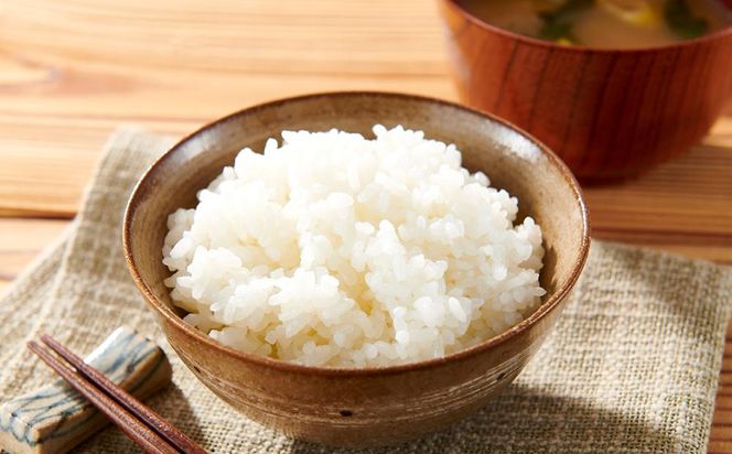 令和7年産 無洗米 伊賀米コシヒカリ 5kg 242161_CE006