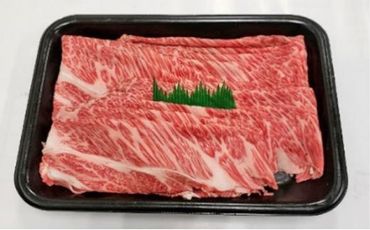 （冷凍）伊賀肉 森辻の【定期便】伊賀牛A5各種 5回お届け 242161_CT008