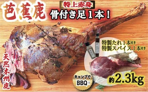 yOdɉszVRmԎ ؁IBBQp t둫P{ 2.3kg pē̂1{EXpCX1{t 242161_DE001