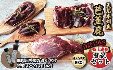 天然芭蕉鹿 特上赤身贅沢セット 合計1.9kg 鹿肉用特製たれ1本&特製スパイス1本付き 242161_DE006