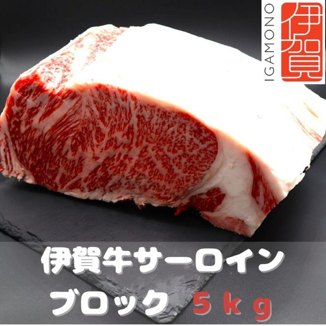 【肉の横綱】伊賀牛サーロインブロック　5kg 242161_DL004