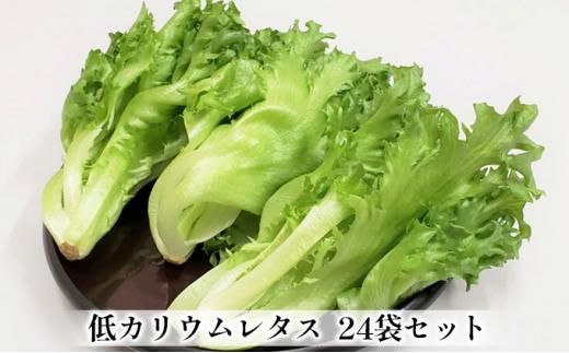 yOdɉszAm^Xi[t^XjVNVLVL ͔|Ԓ_JE^X 24܃Zbg 242161_DW002