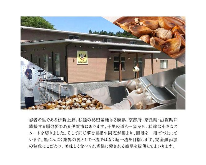 [工場直送] 青森県産 金の黒にんにく 良粒のみ バラ 600g (200g×3) 福地ホワイト６片 黒にんにく 添加物 着色料 不使用 黒ニンニク 242161_DX001