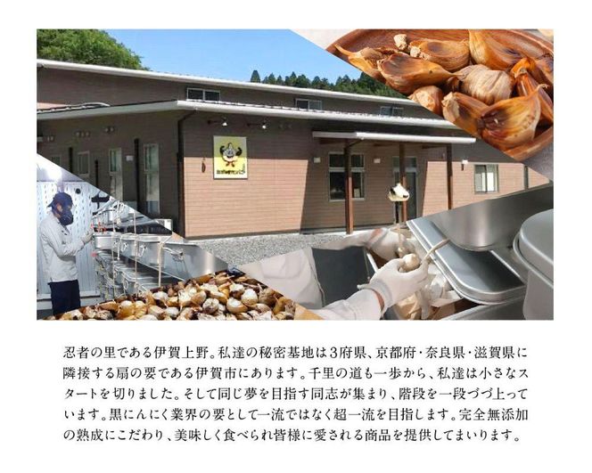 [料理にも使える] 金の黒にんにくペースト 750g (150g×5) 青森県産 福地ホワイト６片 添加物 着色料 不使用 無加水 黒ニンニク 黒にんにく 242161_DX008