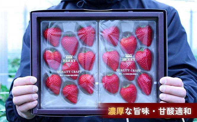 【完熟クラフト苺BERRY】有名シェフ御用達【樹上完熟よつぼし】約500g（出荷2024年12月上旬～2025年5月下旬） 242161_DY002