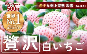 【完熟クラフト苺BERRY】海外セレブ御用達【樹上完熟白いちご】淡雪（あわゆき）約500g（出荷2024年12月上旬～2025年5月下旬） 242161_DY005