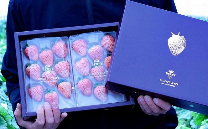 【完熟クラフト苺BERRY】海外セレブ御用達【樹上完熟白いちご】淡雪（あわゆき）約500g（出荷2025年12月上旬～2026年5月下旬） 242161_DY005