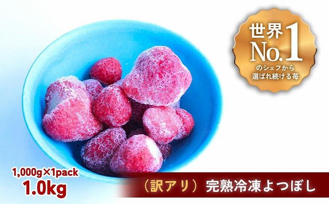 【訳アリ】完熟冷凍苺 よつぼし1.0kg / 化粧箱入【果実まるごとアイス】 242161_DY009