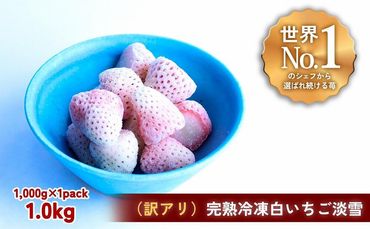 【訳アリ】完熟冷凍苺【白いちご淡雪1.0kg】化粧箱入【果実まるごとアイス】 242161_DY010