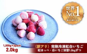 【訳アリ/食べ比べ】完熟冷凍苺「紅ほっぺ&淡雪 1.0kg×2種類」化粧箱入【果実まるごとアイス】 242161_DY011