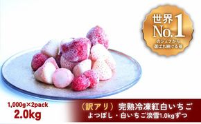 【訳アリ/食べ比べ】完熟冷凍苺「よつぼし＆淡雪 1.0kg × 2種類」化粧箱入【果実まるごとアイス】 242161_DY012