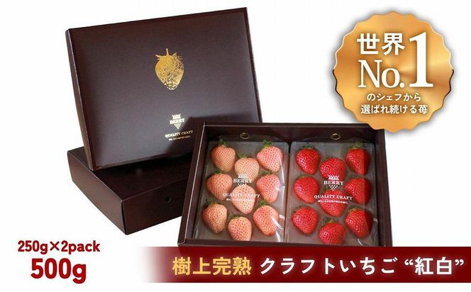 【完熟クラフト苺BERRY】有名シェフ御用達【樹上完熟樹 紅白いちごセット】約500g（出荷2024年12月上旬～2025年5月下旬） 242161_DY015