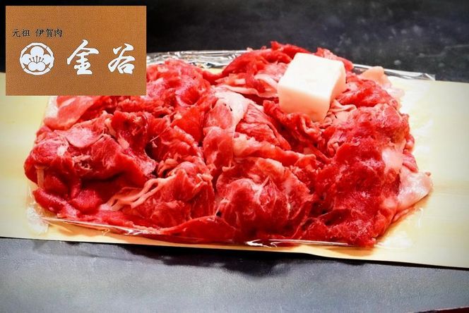 yOdɉszɉꋍ@؍@500 242161_EH003