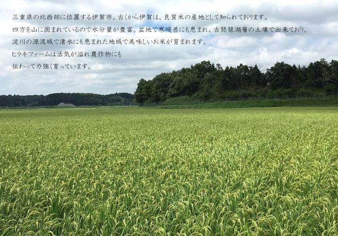 《令和7年産》米 三重県伊賀産 ミルキークイーン ヒラキファーム栽培　玄米20kg（10kg×2） 242161_EM004