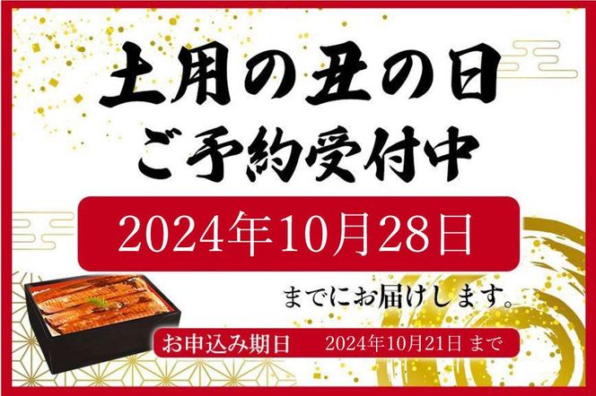 大型サイズ　ふっくら柔らか　国産うなぎ蒲焼き　１尾（約2人前）化粧箱入【秋土用の丑の日のうなぎ】【～10月28日までにお届け】【UT04】 303446_XF91092-GFT