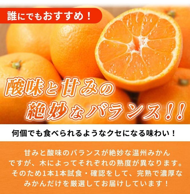 赤秀品　紀州有田産濃厚完熟温州みかん　３ｋｇ（ＭサイズまたはＳサイズ）【先行予約】【UT12】 303446_XF026