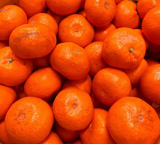 ［ご家庭用訳アリ］紀州有田産温州みかん7.5kg［2026年11月下旬以降発送］［先行予約］［UT10］ 303446_XF029