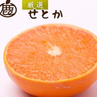 ［先行予約］厳選 せとか2.5kg+250g（傷み補償分）［柑橘・春みかんの王様］［光センサー選果・食べ頃出荷］ ［IKE61］ 303446_BB97007