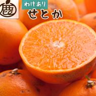 ＜2月より発送＞家庭用 せとか3kg+90g（傷み補償分）【柑橘・春みかんの王様】【わけあり・訳あり】【IKE63】 303446_BB97008