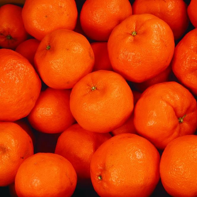 ［先行予約］家庭用 ポンカン5kg+250g（傷み補償分）［IKE24］ 303446_BB97369