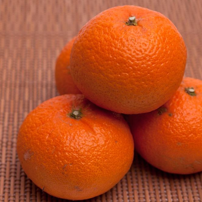 ［先行予約］厳選 津之輝1kg+250g（傷み補償分）［つのかがやき］［せとかに似た柑橘］［光センサー選果］［IKE55］ 303446_BB97378