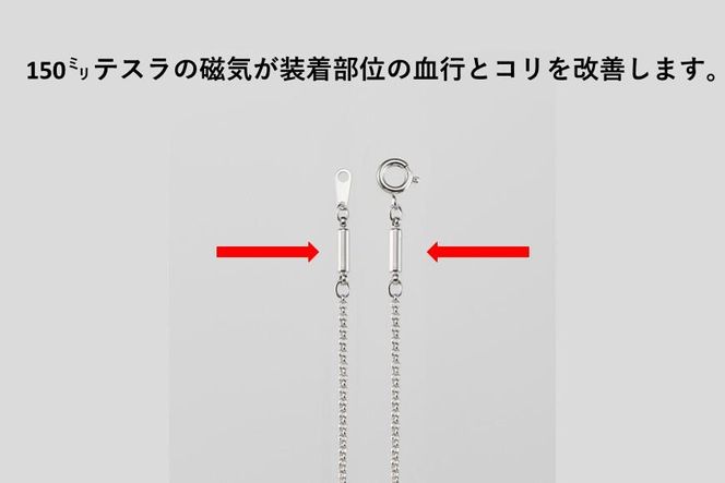 PD5-2-1「キュービックジルコニア磁気ネックレス」覆輪留め 272183_AF107