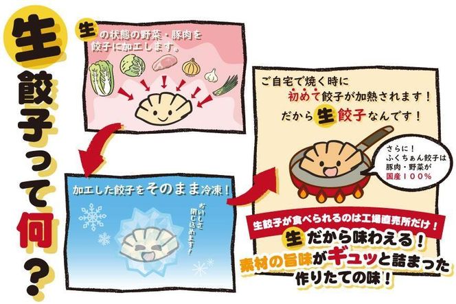 【大阪名物】大阪ふくちぁん餃子 冷凍生餃子 108個 ［36個入×3セット］ 272183_AY05