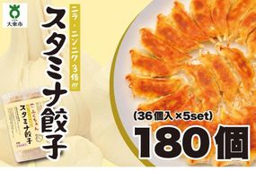 【大阪名物】大阪ふくちぁんスタミナ餃子 冷凍生餃子 180個 ［36個入×5セット］ 272183_AY12