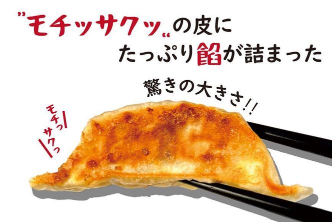 【大阪名物】大阪ふくちぁん野菜餃子 冷凍生餃子 72個 ［36個入×2セット］ 272183_AY15