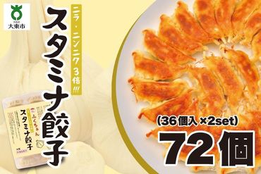 【大阪名物】大阪ふくちぁんスタミナ餃子 冷凍生餃子 72個 ［36個入×2セット］ 272183_AY16